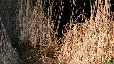 Nie żyje 60-latek. Ciało mężczyzny wyłowiono ze stawu