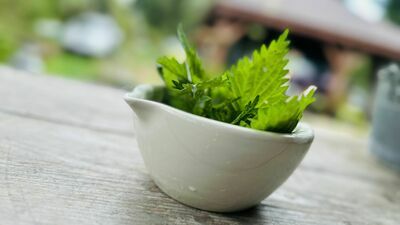 Zaskakujący obiad; pokrzywa. Przepisy kulinarne poleca Waldemar Sulisz