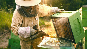 Zamiast 20 jest 50 zł od ula