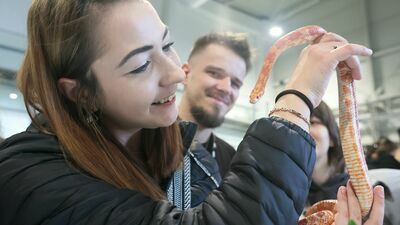 Egzotyczna niedziela w Lublinie. Pani Agata zaprzyjaźniła się z wężem