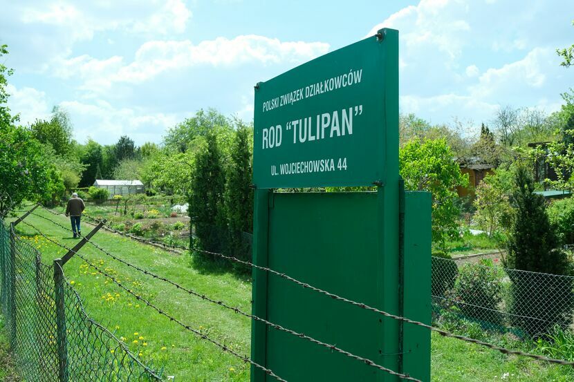 ROD "Tulipan" otrzyma pieniądze na budowę ogrodzenia