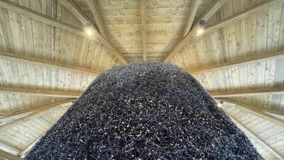 Kolejne miasto wdycha solankę 