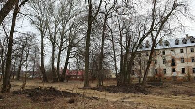 Obecny stan parku w Leśnej Podlaskiej/ 