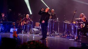 Fani zespołu liczą na dobrą zabawę