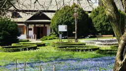 Jutro będzie można już wejść do Ogrodu Botanicznego UMCS. Cennik, godziny otwarcia