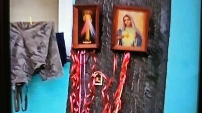 Dendrolog o tym, co widać na „cudownym” drzewie z Parczewa. Niektórzy się obrażą