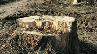 Zdjęcie ilustracyjne