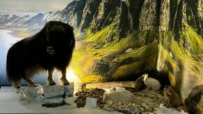 Na razie eksponaty oglądają grupy zorganizowane. 13 maja muzeum będzie dostępne dla wszystkich zwiedzających