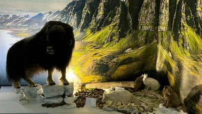 Na razie eksponaty oglądają grupy zorganizowane. 13 maja muzeum będzie dostępne dla wszystkich zwiedzających