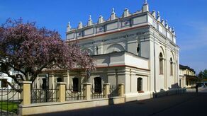 Dobroczynna Noc Muzeów w zamojskiej Synagodze. Cała kasa dla zwierzaków