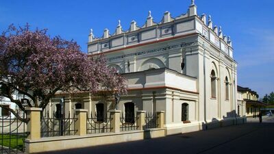 Dobroczynna Noc Muzeów w zamojskiej Synagodze. Cała kasa dla zwierzaków