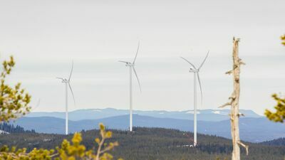 Będą kolejne inwestycje w wiatraki i fotowoltaikę. Budżety gmin mogą się wzbogacić nawet o 30 mln zł każdego roku.