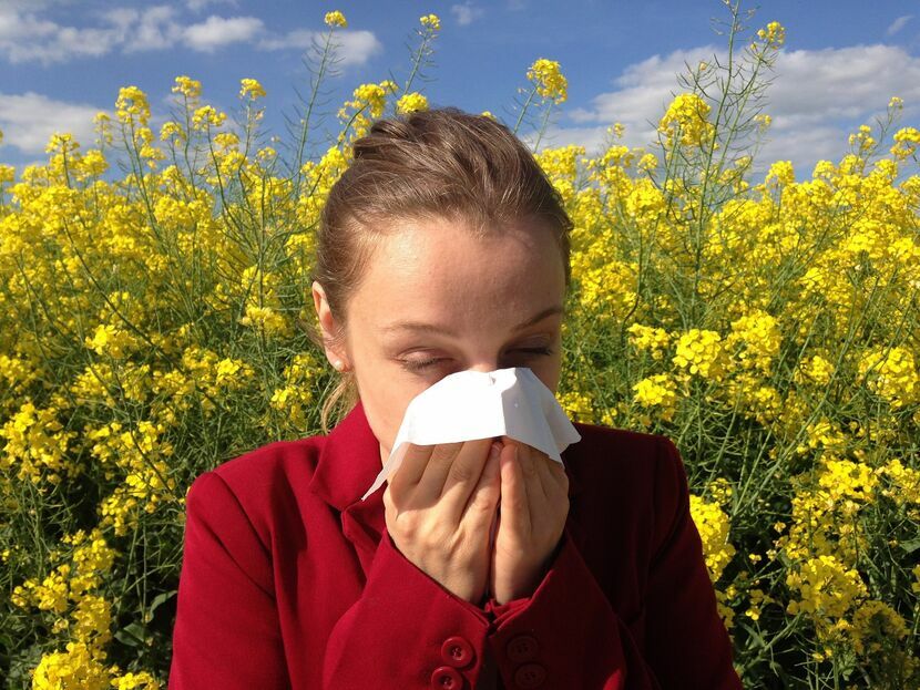 Częstość występowania chorób alergicznych na świecie gwałtownie wzrasta, a według Światowej Organizacji Alergii odsetek chorych waha się - w zależności od kraju - w granicach od 10 do nawet 40 proc. 