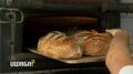 Co można znaleźć w chlebie? Przeprowadziliśmy test
