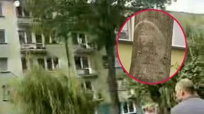 Coś pojawiło się na drzewie i przypomina twarz Jezusa. Ludzie odmawiają modlitwy. Wideo