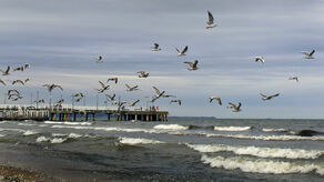Jedno ze zdjęć młodego autora