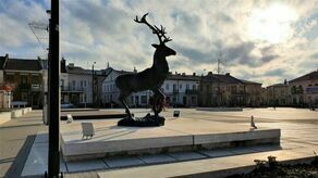 Na placu Wolności wycięto 58 drzew. Na środku placu stanęła figura jelenia 