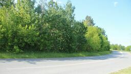 Działki przy Elektrycznej pójdą pod młotek