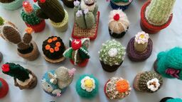 Tu mi kaktus wyrośnie. Ukraińskie seniorki i członkinie Otulania Włóczką przygotowały instalację, która będzie eksponowana na uliczce Ku Farze