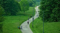 Zamiast starej alejki mają być osobne trasy dla pieszych i dla rowerzystów