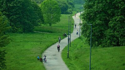 Zamiast starej alejki mają być osobne trasy dla pieszych i dla rowerzystów