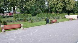 Wyrywał ławki w miejskim parku. Nie potrafił wyjaśnić, dlaczego