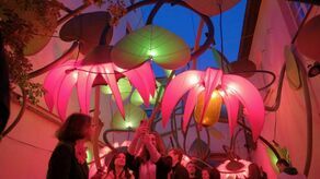 Noc Kultury 2023. Lublin był zielony i wyjątkowy (dużo zdjęć)