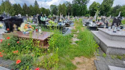 Według pana Macieja taki stan cmentarza jest oburzający, a winę za zaniedbania ponosi parafia