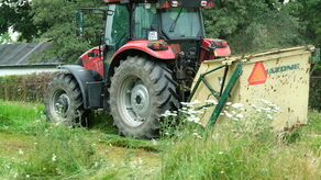 Ograniczenie używania ciężkiego sprzętu i omijanie kęp kwietnych - to jedne z postulatów aktywistów, którzy chcą zmienić zwyczaje w mieście 