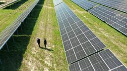 Na działce o powierzchni 5,66 ha zainstalowano już ponad 5,5 tysiąca paneli fotowoltaicznych