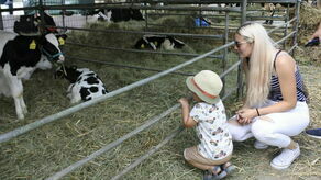 Wystawa w Sitnie to impreza z wieloletnią tradycją, zawsze ciesząca się ogromnym zainteresowaniem nie tylko wystawców, ale też zwiedzających