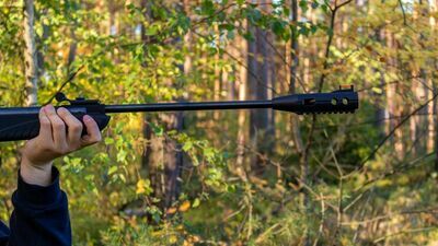 zdjęcie ilustracyjne