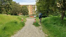 Nowe dojście do parku powstanie w pobliżu bloku przy ul. Daszyńskiego 23