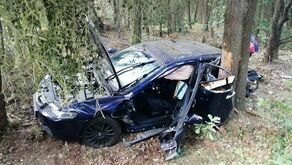 Honda dachowała i uderzyła w drzewo. Kierowcę ratowali strażacy