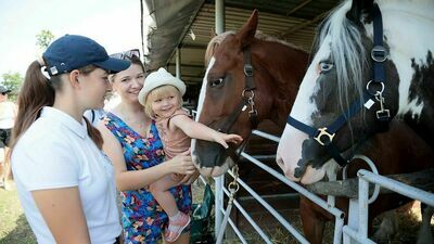 Elvis i Donatello mają swoje święto. Coś dla miłośników koni 