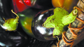 Majówka bez grilla? Niemożliwe! Oto kilka sprawdzonych przepisów 