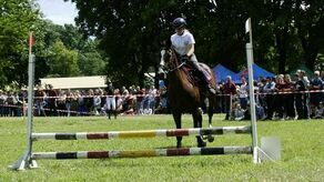 Koński weekend w Sitnie