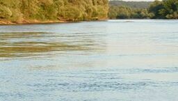 Powiat lubartowski. 65-latek utonął w stawie