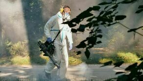 Prace prowadzone będą w dwóch lokalizacjach: Parku Ludowym i Parku Rury. Akcja ma się zacząć o godz. 20