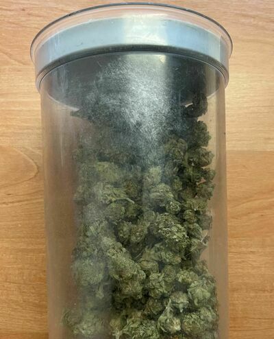 W pudełku było ponad 50 gramów suszu konopi „innych niż włókniste”. 