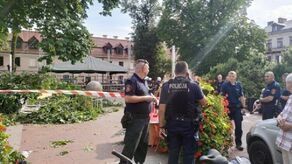 Zamość: Konar drzewa spadł na ludzi. Część rannych trafiła do szpitala