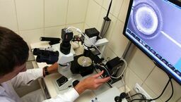 Ze statystyk wynika, że w naszym kraju problem bezpłodności dotyczyć może nawet 20 procent par. Procedura in vitro nie jest tania. Jej koszt może sięgać do 20 tys. zł