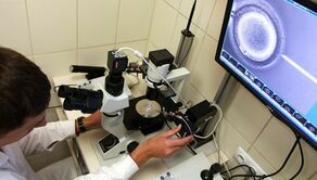 Ze statystyk wynika, że w naszym kraju problem bezpłodności dotyczyć może nawet 20 procent par. Procedura in vitro nie jest tania. Jej koszt może sięgać do 20 tys. zł