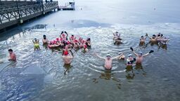 Radny: Morsowanie to głupota. Morsy żądają przeprosin 