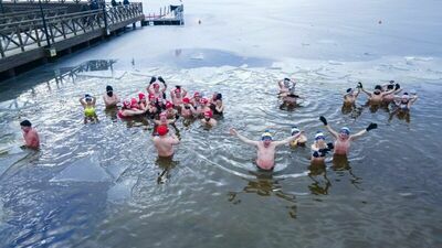 Radny: Morsowanie to głupota. Morsy żądają przeprosin 