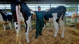 Na tej wystawie robią krowę na bóstwo. Rolnika impreza obowiązkowa 