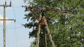 Jedna z gałęzi rosnąca od strony linii jest uschnięta i grozi uszkodzeniem linii. Jeszcze większe zagrożenie stanowią spękane podpory jednego ze słupów energetycznych