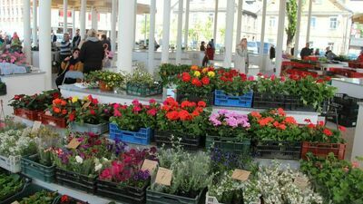 W ramach programu rewitalizacji wyremontowano m.in. targowisko „babski rynek” 