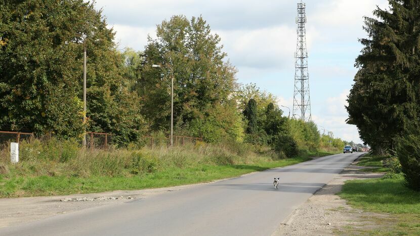 Ulica Fabryczna to część powiatowej drogi łączącej dwie największe miejscowości gminy - Kurów i Klementowice. Droga od lat czeka na latarnie, chodnik lub utwardzone pobocza. Lampy pojawią się jeszcze w tym roku