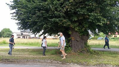 Podpis: W piątek na drodze 838 odbyła się wizja lokalna
